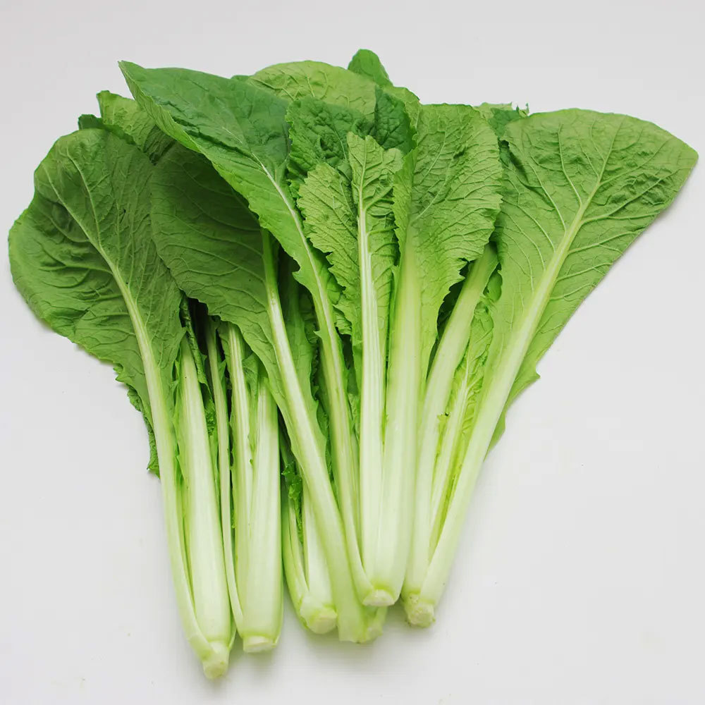 小(xiǎo)白(bái)菜