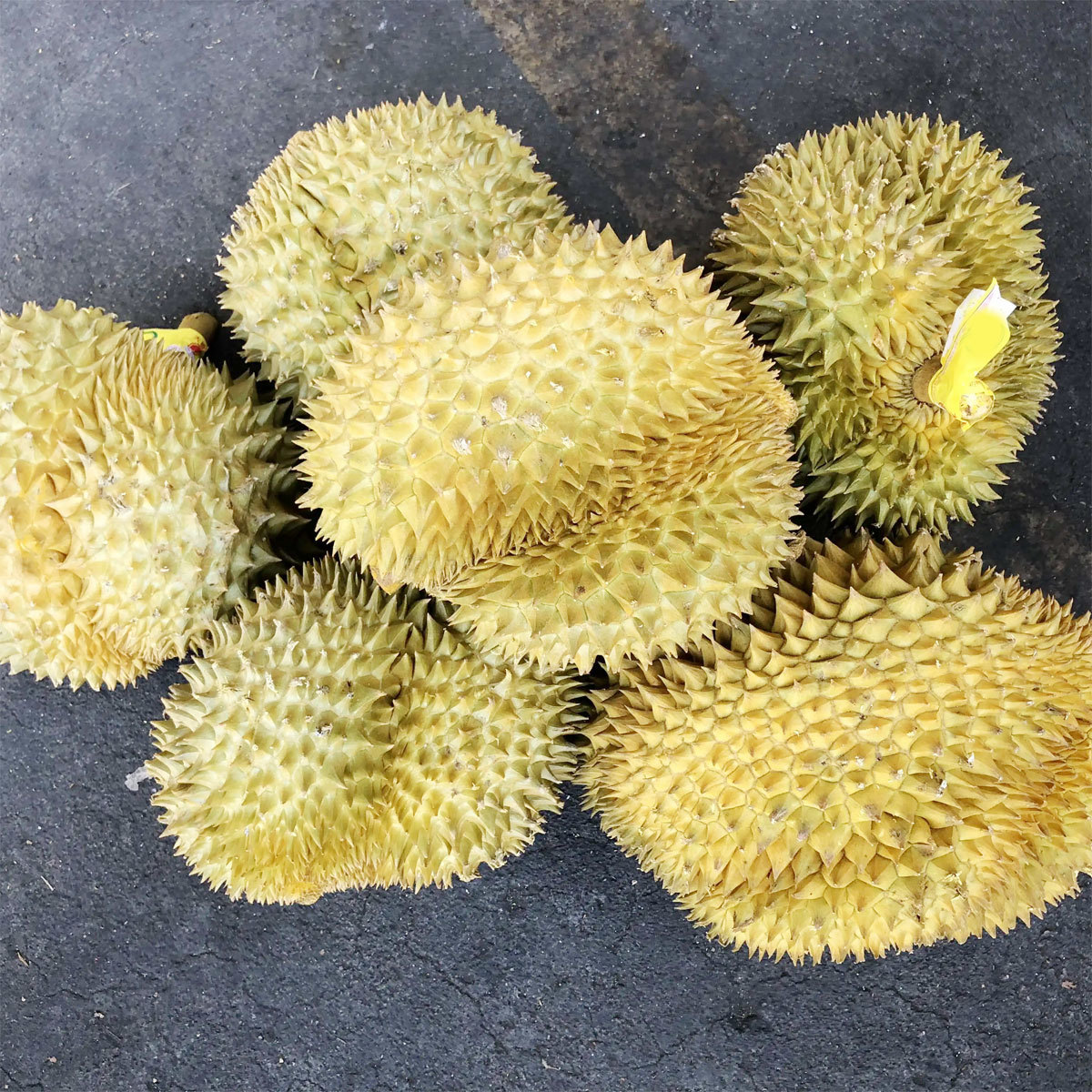 榴蓮