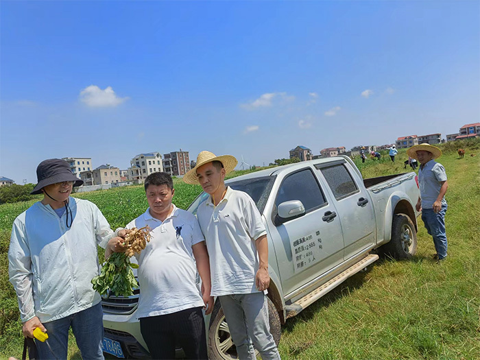 福州市種子站(zhàn)，福清市種子站(zhàn)，今天到國(guó)田農業(yè)基地(dì)視(shì)察！