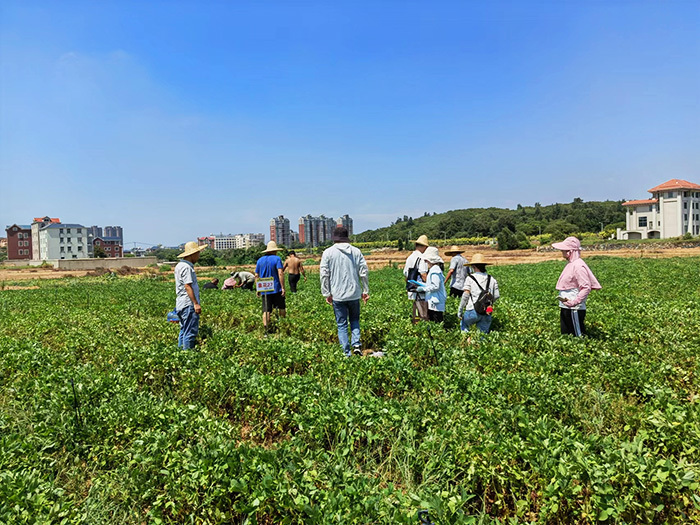 福州市種子站(zhàn)，福清市種子站(zhàn)，今天到國(guó)田農業(yè)基地(dì)視(shì)察！