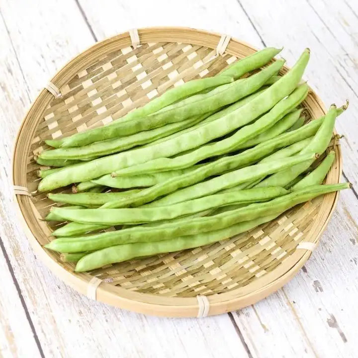 四季豆