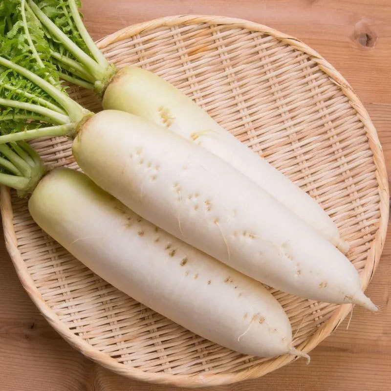 白(bái)蘿蔔