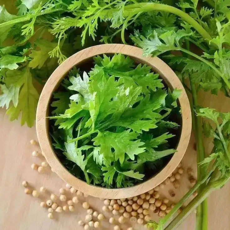 香菜